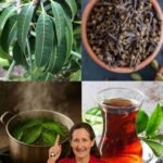 Čaj od lista manga i klinčića: Nježna biljna podrška za svakodnevno blagostanje