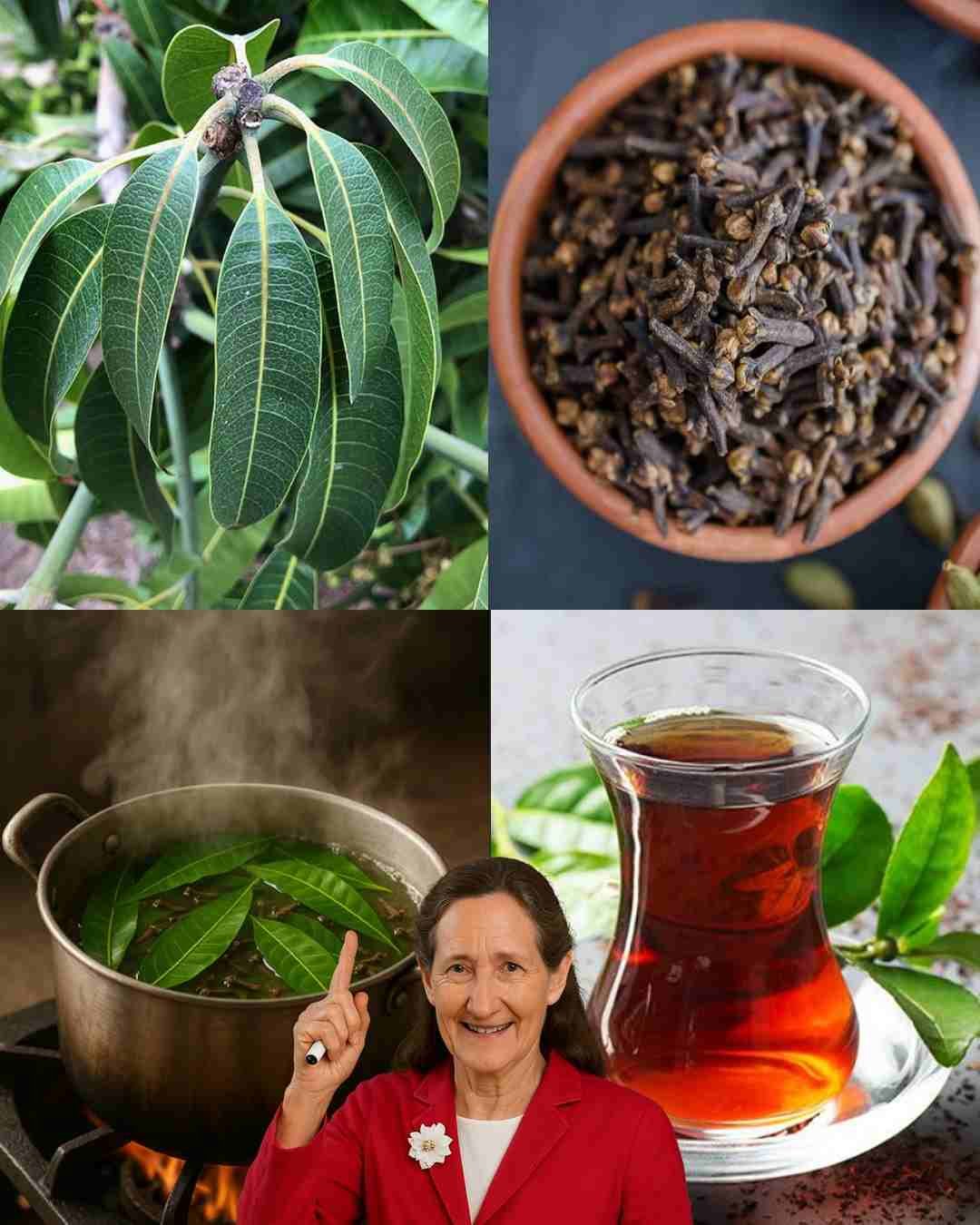 Čaj od lista manga i klinčića: Nježna biljna podrška za svakodnevno blagostanje