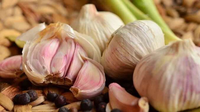 Naučno je dokazano da alicin, aktivni sastojak iz bijelog luka, može da ima efekat lijeka na enzime i da snizi visok pritisak. Takođe, bijeli luk ima moć da opusti krvne sudove i spreči proizvodnju angiotenzina, peptidnog hormona koji utiče na pojavu hronične hipertenzije. Sastojci: 200 ml 95% alkohola ili ruma (ako koristite alkohol, uzmite onaj koji ne sadrži metanol ili benzalkonijum hlorid) i 350 g bijelog luka. Priprema: Oljuštite luk, izgnječite ga viljuškom i prelijte alkoholom. Prespite mješavinu u sterilisanu staklenu bocu i ostavute da stoji 10 dana, piše Healthy Definition. Nakon toga, ocijedite tečnost iz flaše i ponovo je sipajte natrag u bocu. Čuvajte u frižideru. Upotreba: U čašu vode dodajte samo jednu kap mješavine i pijte prije doručka ili ručka. Uveče pred spavanje, dodajte 2-3 kapi u čašu vode, popijte i lezite. Napomena: Od navedene količine sastojaka, imaćete tinkturu oko 12 dana, i to je za ovu godinu sasvim dovoljno!