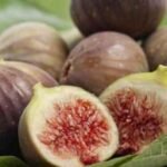 Smokva sadrži prirodne šećere koji tijelu daju energiju, ali i vlakna koja podstiču varenje. Samo jedna smokva može učiniti da vaš metabolizam krene u pravom smjeru već u prvim satima dana. Nije rijetkost da ljudi koji uvode ovu naviku primijete kako im se probava stabilizovala i da osjećaju manje nadutosti i nelagodnosti. Ono što posebno izdvaja smokvu jeste njeno blagotvorno dejstvo na crijeva. Smokve djeluju kao prirodan laksativ, ali na blag i nenapadan način. Osobe koje pate od zatvora ili neredovne stolice često primijete značajno poboljšanje već nakon nekoliko dana redovne konzumacije. Osim toga, smokve su bogate antioksidansima koji štite ćelije od oštećenja. One pomažu u borbi protiv slobodnih radikala i tako usporavaju procese starenja, čineći kožu blistavijom i otpornijom. Nije čudo što se smokve često nalaze i u prirodnim kozmetičkim preparatima. Zahvaljujući visokom sadržaju kalijuma, smokve pozitivno utiču na regulaciju krvnog pritiska. Ovaj mineral je ključan za srčani ritam i ravnotežu tečnosti u tijelu. Ako imate problema sa visokim pritiskom, smokve bi mogle biti vaš saveznik. Takođe, smokve sadrže kalcijum i magnezijum – dva minerala koji čine osnovu zdravih kostiju i zuba. Kod osoba koje ne konzumiraju dovoljno mliječnih proizvoda, smokve mogu biti odlična zamjena za unos ovih važnih nutrijenata. Zanimljivo je da smokve sadrže i biljne spojeve koji povoljno utiču na balans hormona. Mnoge žene koje se suočavaju s neredovnim ciklusima ili simptomima PMS-a primijetile su da im redovno konzumiranje smokvi donosi olakšanje. Takođe, kod muškaraca, smokve se povezuju sa poboljšanjem plodnosti, jer pozitivno utiču na kvalitet sperme i nivo testosterona, zahvaljujući prisustvu cinka i aminokiselina. Nije rijetkost da ljudi koji uvedu ovu jednostavnu naviku prijave i poboljšano raspoloženje. Smokve podstiču lučenje serotonina – hormona sreće, što ih čini odličnim saveznikom protiv blage depresije i anksioznosti. Iako slatke, smokve imaju nizak glikemijski indeks, što znači da ne izazivaju nagli skok šećera u krvi. Zato su pogodne čak i za osobe koje paze na unos ugljenih hidrata, uz umjerenu konzumaciju. Naravno, važno je da birate prirodne, neprerađene smokve – bilo svježe tokom sezone, ili sušene bez dodatog šećera van nje. Najbolje je da ih potopite u vodu preko noći i pojedete ujutro zajedno sa tečnošću. Time dodatno pojačavate njihovu sposobnost čišćenja crijeva. Ljudi koji su praktikovalo ovu naviku duže vrijeme često prijavljuju da su im se poboljšali imunitet, energija tokom dana i kvalitet sna. Jedna od manje poznatih dobrobiti smokve jeste i njeno dejstvo na jetru. Ona pomaže u detoksikaciji organizma i obnavljanju jetrenih ćelija, što je naročito korisno za ljude koji su izloženi toksinima kroz ishranu, alkohol ili lijekove. Ako vam je cilj da izgubite na težini, smokve vas mogu podržati i u toj namjeri. Njihovi prirodni šećeri sprečavaju nagle napade gladi, dok vlakna daju osećaj sitosti i čiste crijeva. Smokve mogu pomoći i osobama koje pate od anemije. Zbog visokog sadržaja gvožđa, mogu poslužiti kao prirodan način za podizanje nivoa hemoglobina u krvi. Uprkos svim ovim koristima, najvažniji savjet je da ne pretjerujete. Jedna do dvije smokve dnevno su sasvim dovoljne da osjetite njihove blagodeti, a da ne opteretite organizam viškom šećera ili kalorija.